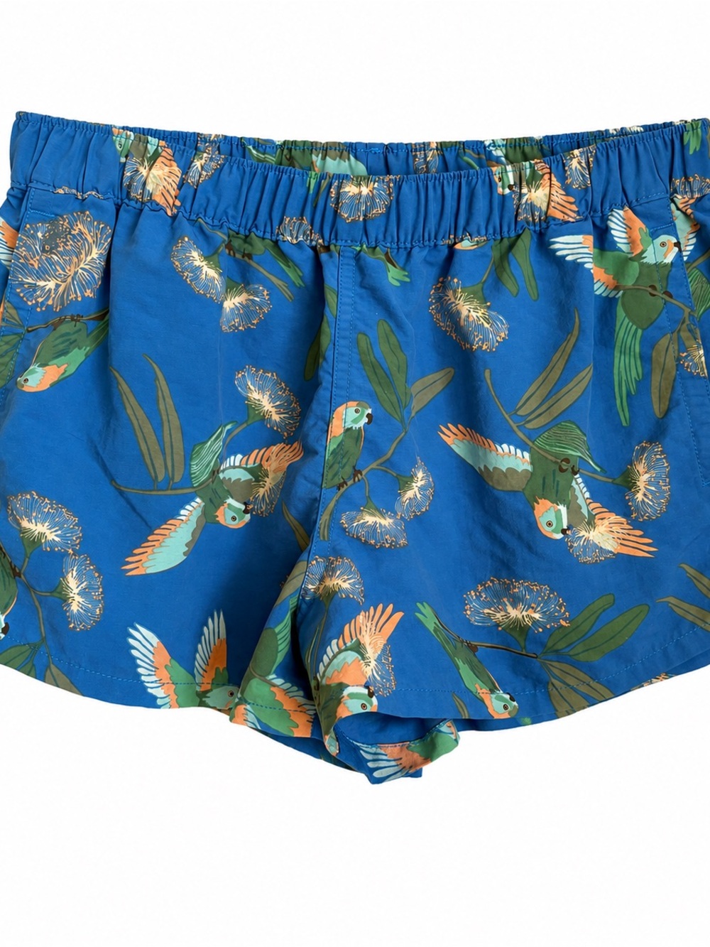 Patagonia Baggies Shorts Medium Parrots Paintbrush Blue 2 inch Inseam Gorpcore